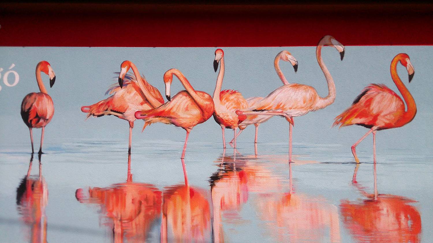 Flamingo- Neopaint Works